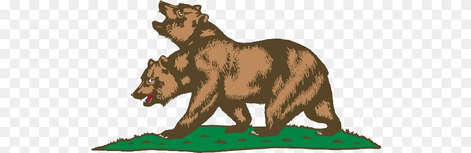 Topic Fallout Nv Changeorg Flag California Grizzly Bear, Animal, Mammal, Wildlife, Brown Bear Free Png Download