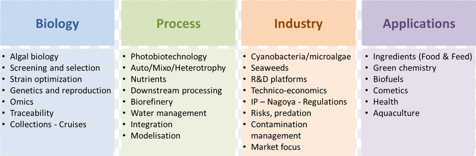 Topics Isap 2017 Aat, Text Png