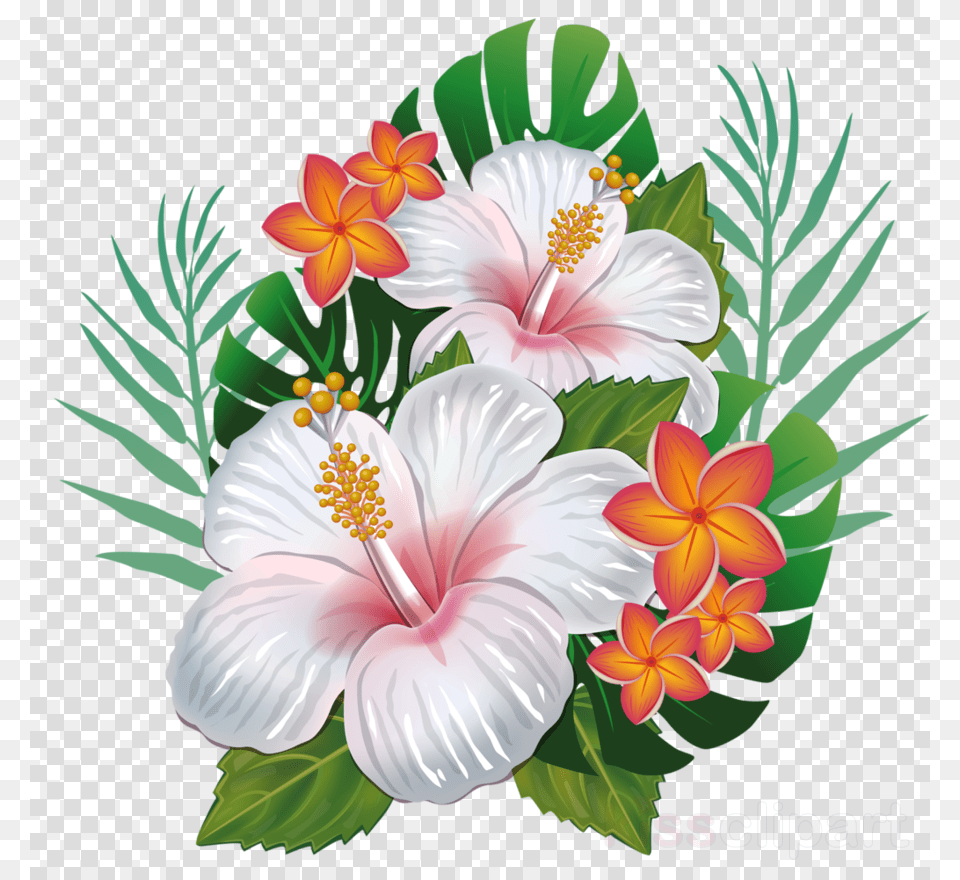 Topo De Bolo Flamingo Para Imprimir, Flower, Plant, Hibiscus, Pattern Free Transparent Png