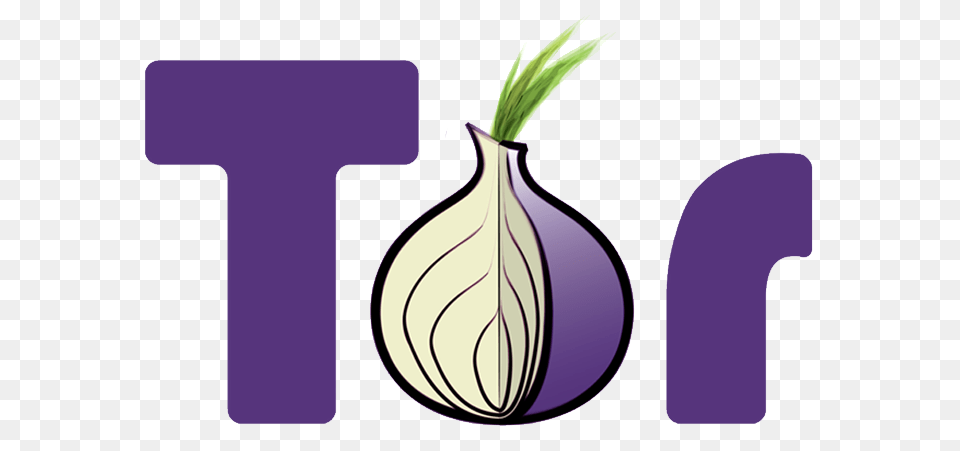 Tor Usage Up, Jar, Plant, Planter, Potted Plant Free Png Download