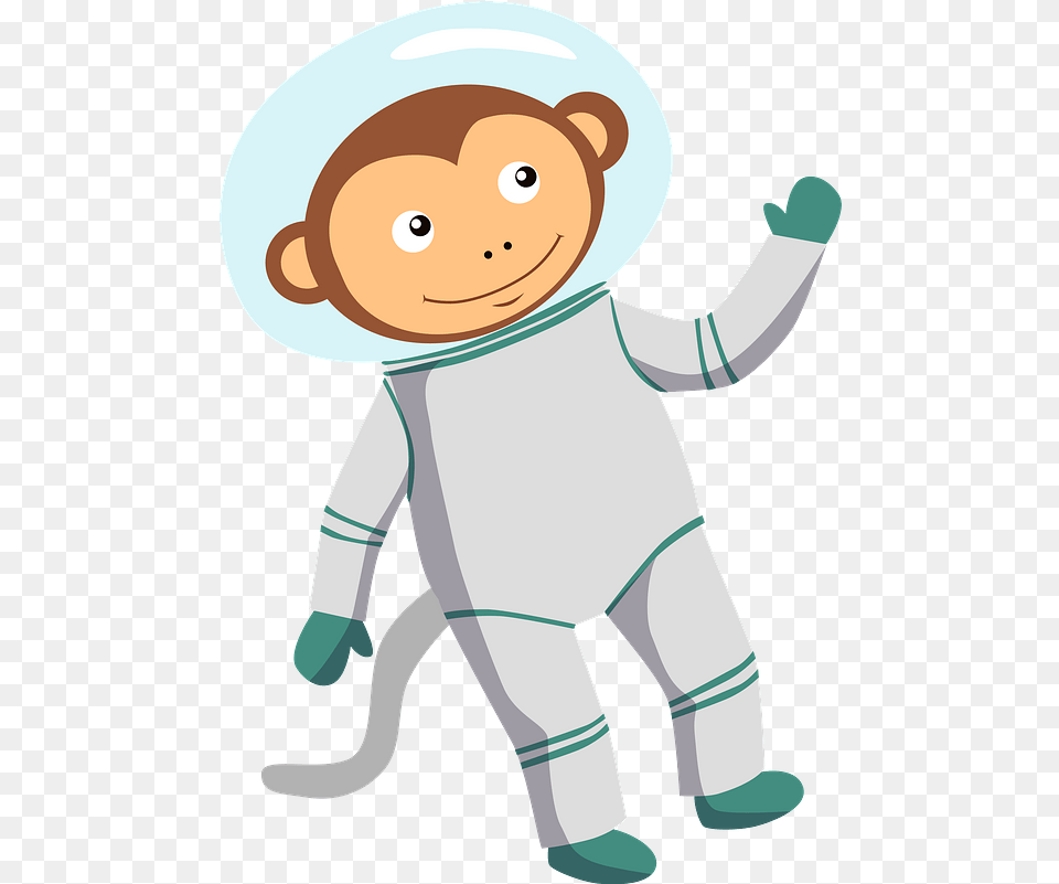 Torah, Animal, Bear, Mammal, Wildlife Free Png Download