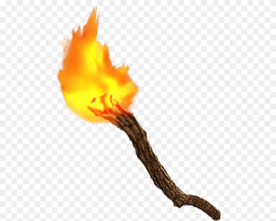 Torch, Fire, Flame, Light, Adult Png