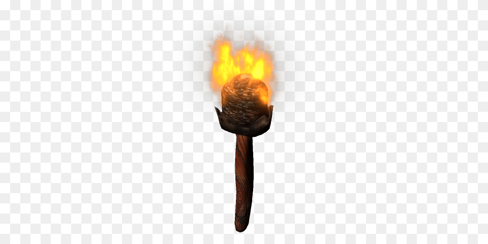 Torch, Light, Bonfire, Fire, Flame Free Png Download