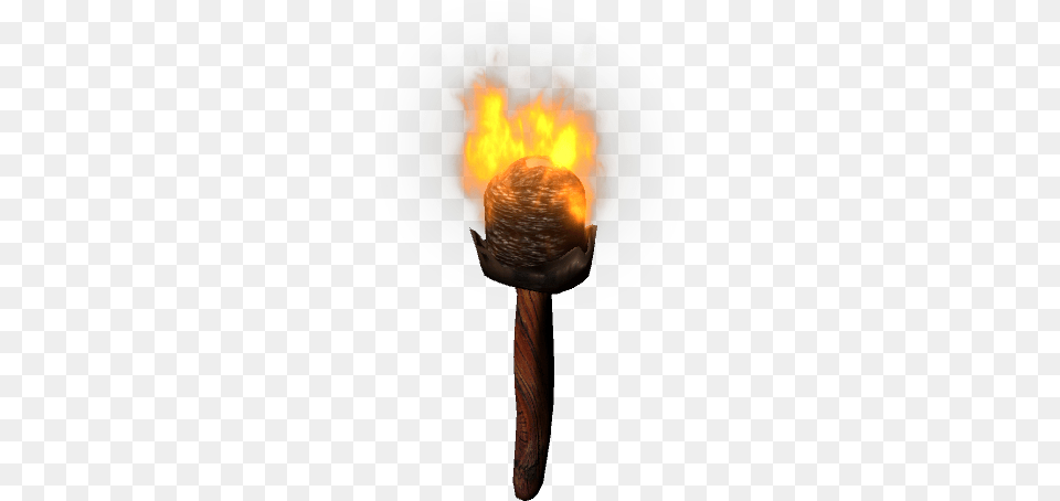 Torch Fire Stick Burning Freetoedit Portable Network Graphics, Light, Bonfire, Flame Png Image