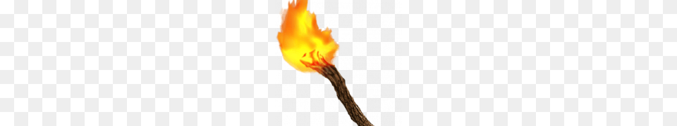 Torch Pic, Light, Fire, Flame Png Image