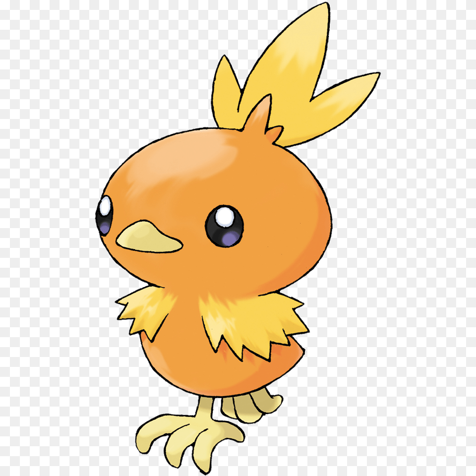 Torchic, Animal, Baby, Person, Sea Life Png Image