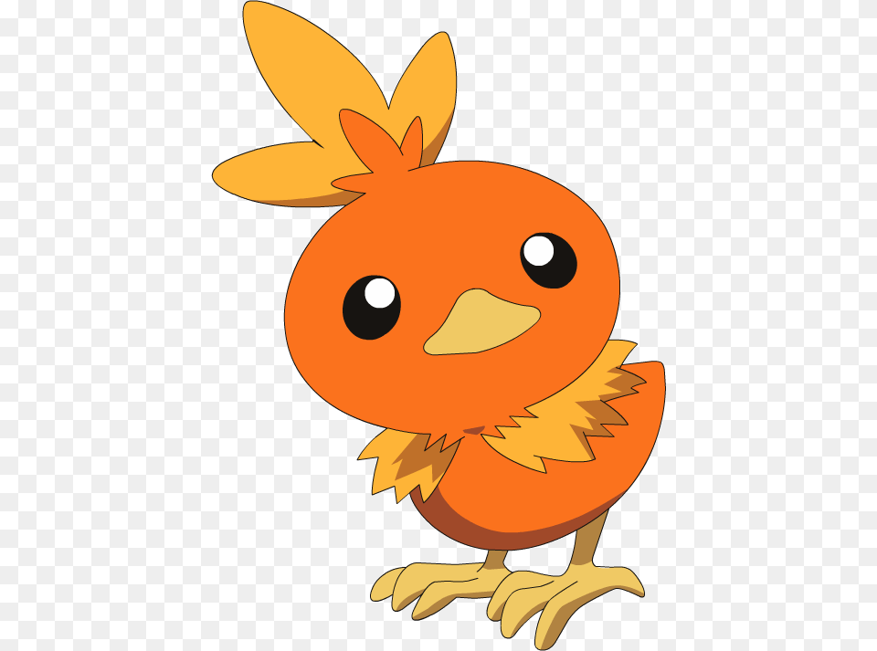 Torchic Fire Pokemon Torchic, Animal, Fish, Sea Life, Shark Png Image