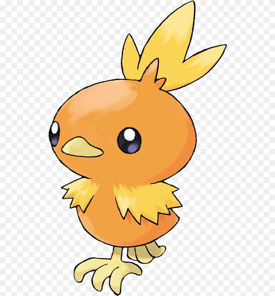 Torchic Orange Birds Pokemon, Face, Head, Person, Animal Free Png