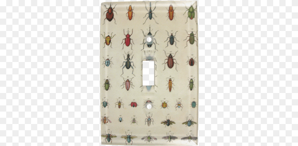 Torn Insects Torn Insects Insect, Animal, Invertebrate Free Transparent Png
