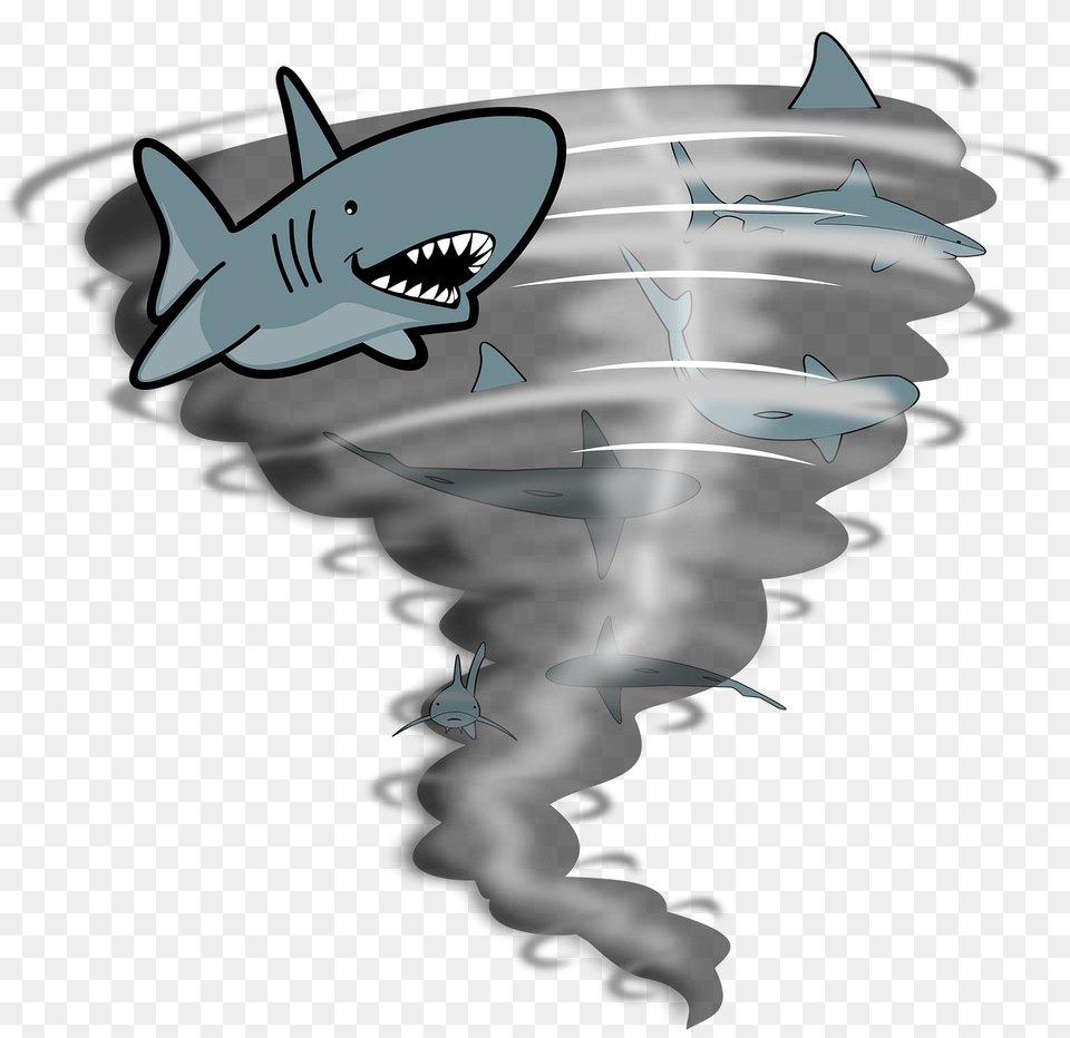 Tornado Sharks Weather Storm Fish Rain Dangerous Tornado Silhouette, Animal, Sea Life, Shark Free Transparent Png