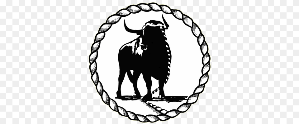 Toro De Cuerda Federacion Toro Con Cuerda, Animal, Bull, Mammal, Cattle Free Png