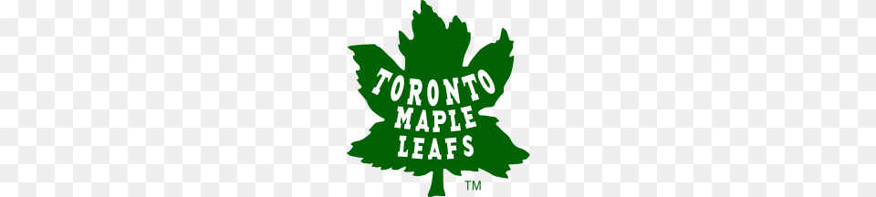 Toronto Maple Leafs Ice Hockey Wiki Fandom Powered, Green, Leaf, Plant, Oak Png Image