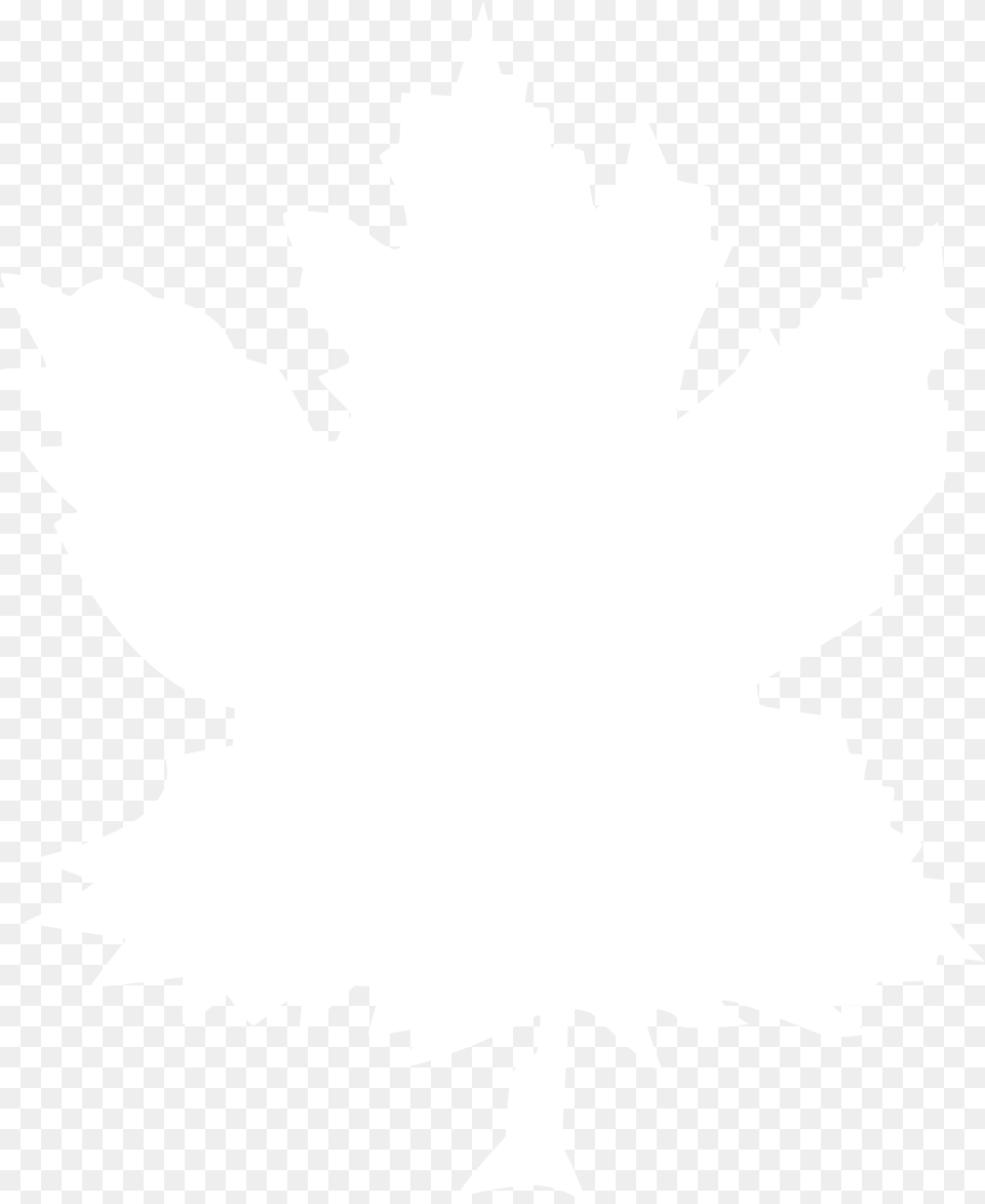 Toronto Maple Leafs Logo Black And White Black And White Pictures Whatsapp Dp, Leaf, Plant, Maple Leaf Png Image