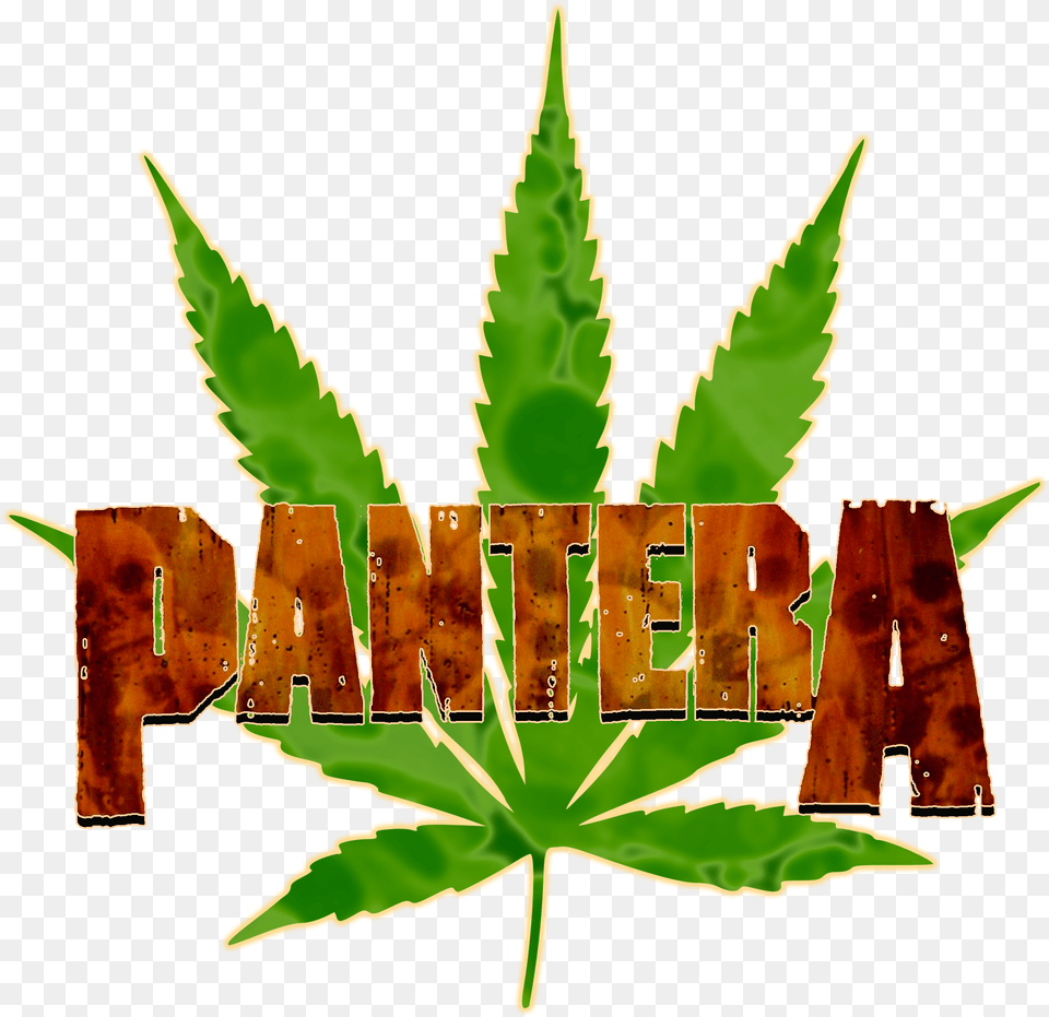 Toronto Maple Leafs Marijuana, Leaf, Plant, Weed, Hemp Free Png