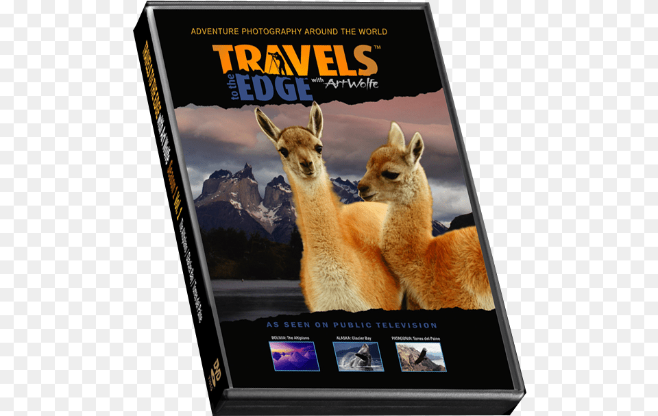 Torres Del Paine National Park, Animal, Mammal, Antelope, Wildlife Free Png