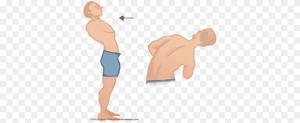 Torso Muscles 3 Cartoon, Back, Body Part, Person, Face Free Transparent Png