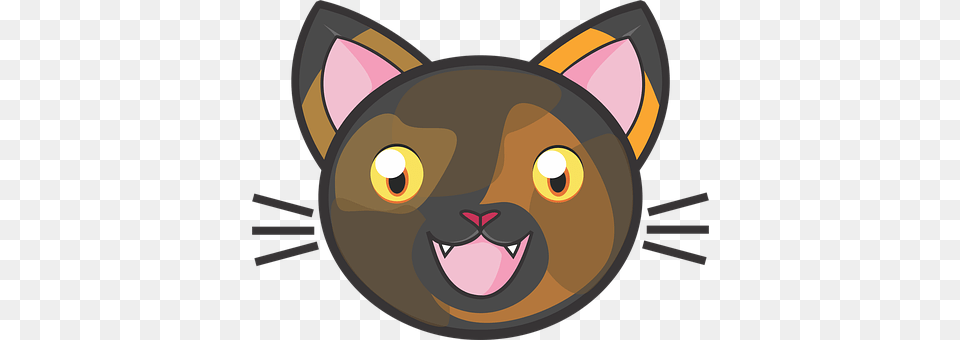Tortie Cat Snout, Animal, Canine, Mammal Png
