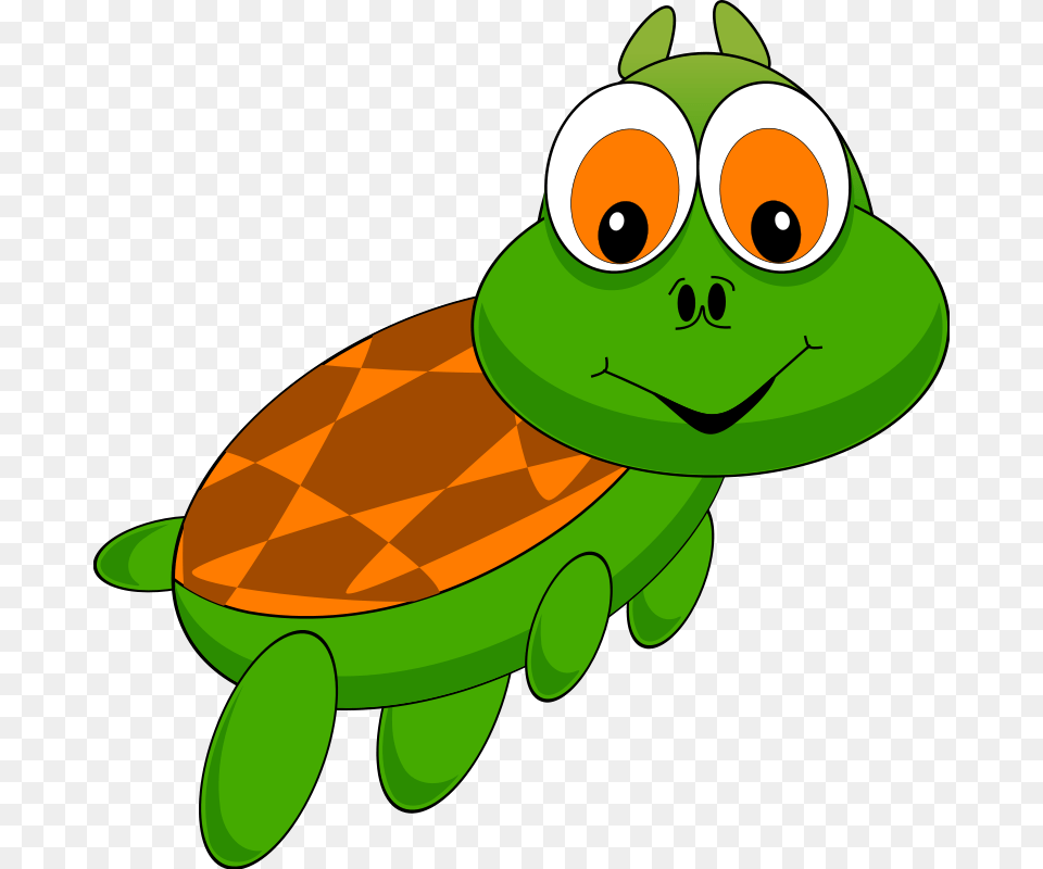 Tortluga, Animal, Baby, Person Png Image