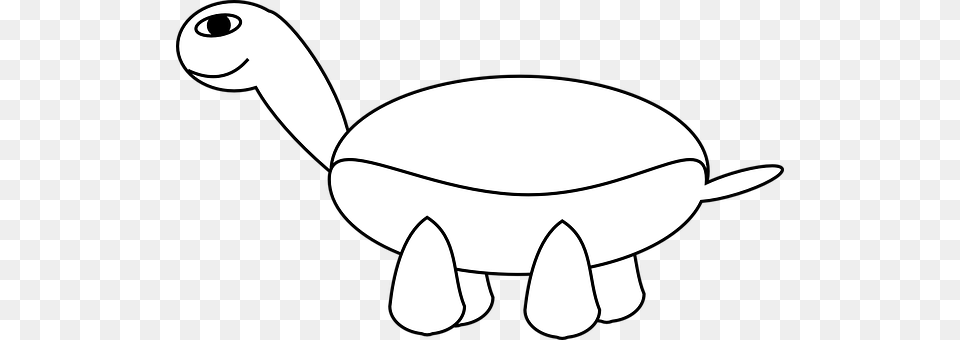 Tortoise Cooking Pan, Cookware, Animal, Sea Life Png