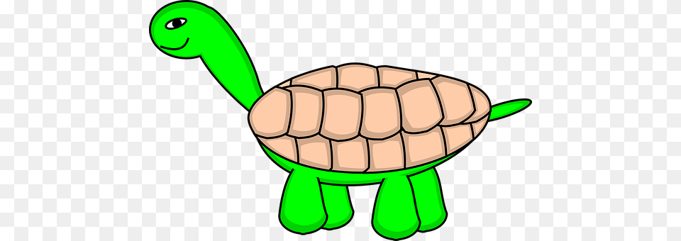 Tortoise Animal, Reptile, Sea Life, Turtle Free Png