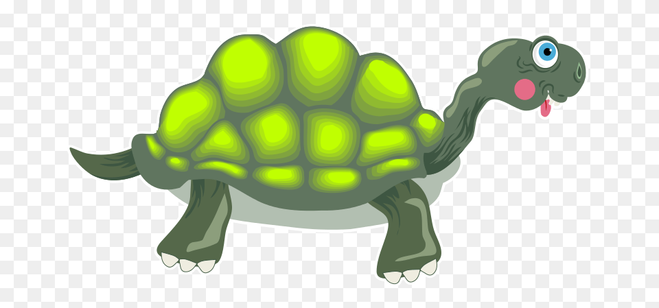 Tortoise, Animal, Reptile, Sea Life, Turtle Png Image