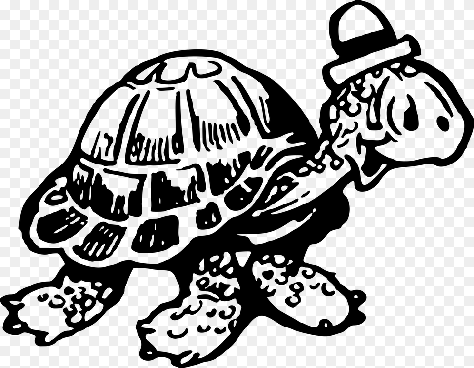 Tortoise 2 Clip Arts Turtle, Gray Png Image