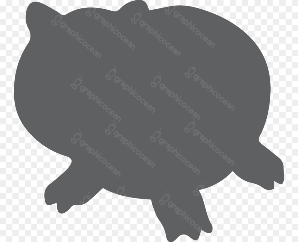 Tortoise, Animal, Hippo, Mammal, Wildlife Free Transparent Png