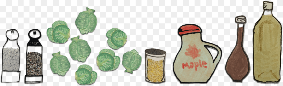 Tortoise, Bottle Png Image