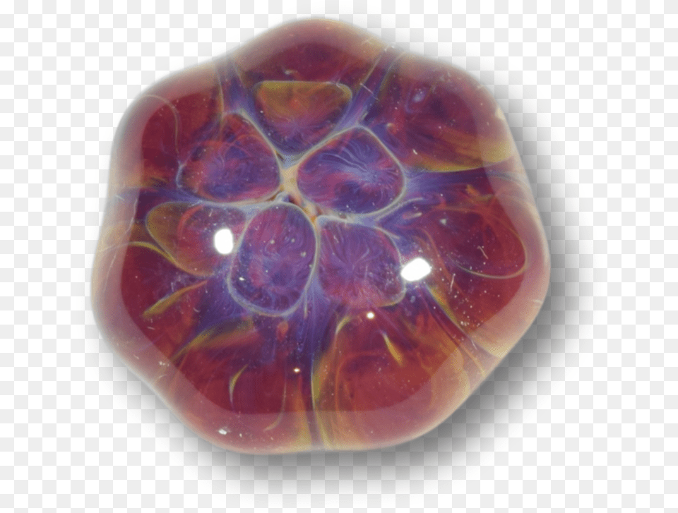 Tortoise, Accessories, Gemstone, Jewelry, Ornament Png Image