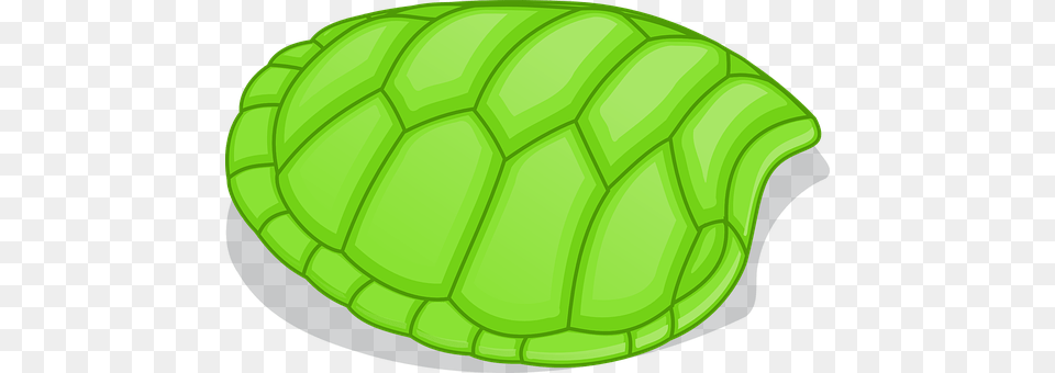 Tortoise Plant, Leaf, Green, Moss Png Image