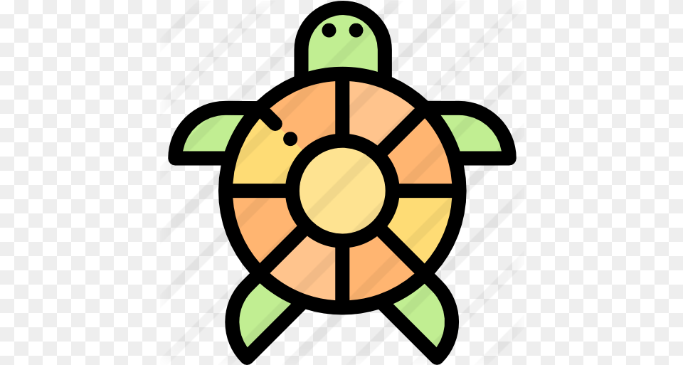 Tortoise Animals Icons Cold Icon, Person Free Transparent Png