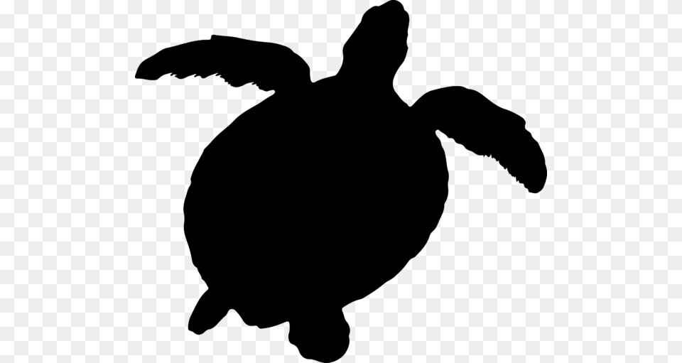 Tortoise At Getdrawings Com For Personal Sea Turtle Silhouette, Gray Free Png