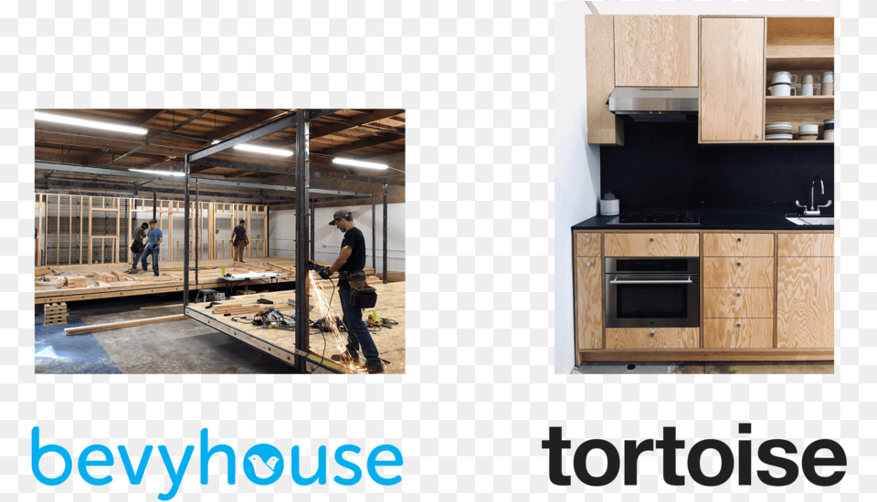 Tortoise Bevyhouse Tortoise, Interior Design, Indoors, Accessories, Handbag Free Png Download