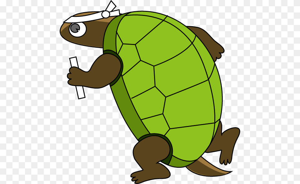 Tortoise Clip Art, Animal, Reptile, Sea Life, Turtle Free Png