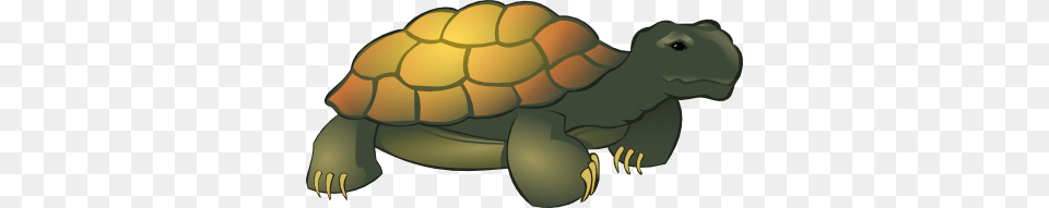Tortoise Clip Art Look, Animal, Reptile, Sea Life, Turtle Png