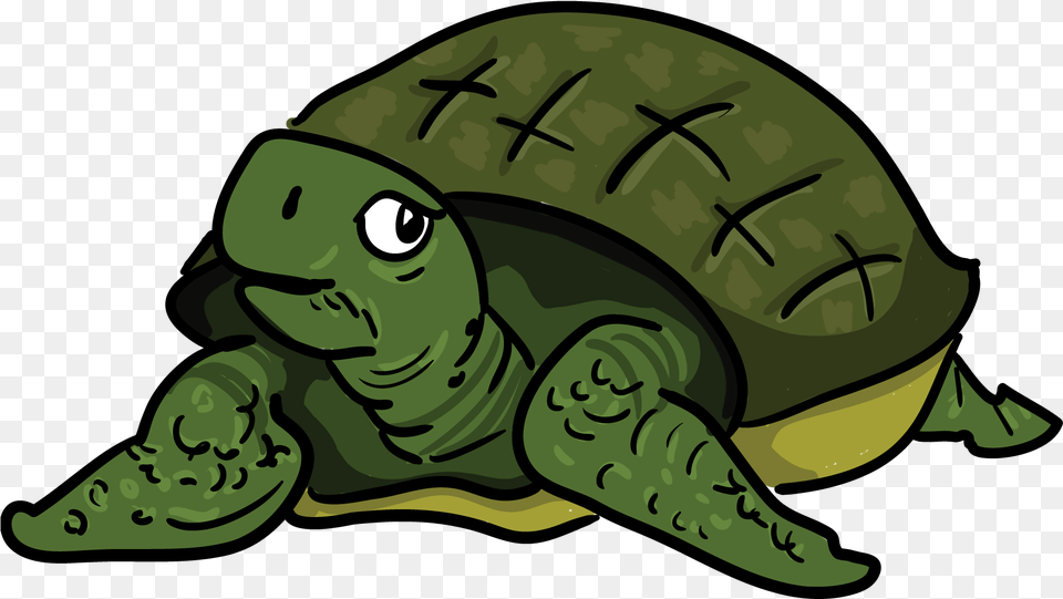 Tortoise Clip Art Turtle, Animal, Sea Life, Reptile, Head Free Png