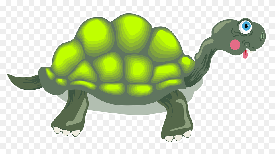 Tortoise Clipart, Animal, Reptile, Sea Life, Turtle Free Transparent Png