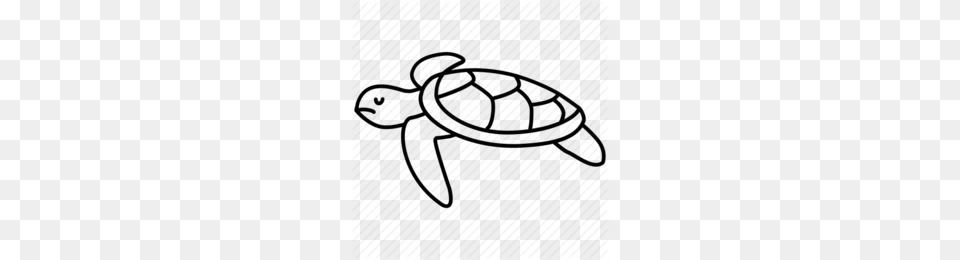 Tortoise Clipart, Animal, Reptile, Sea Life, Turtle Free Png Download