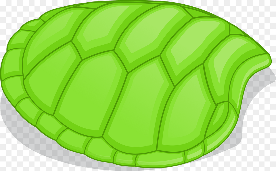 Tortoise Clipart, Plant, Green, Leaf, Turtle Free Png Download