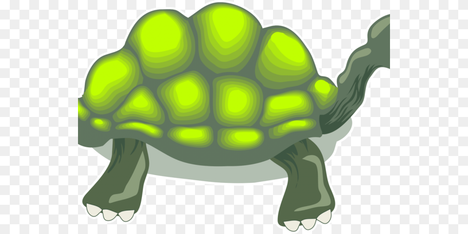 Tortoise Clipart Box Turtle Turtle, Animal, Reptile, Sea Life Free Transparent Png