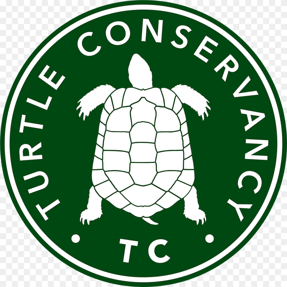 Tortoise Clipart Sick Turtle Turtle Conservancy, Animal, Reptile, Sea Life, Logo Free Png
