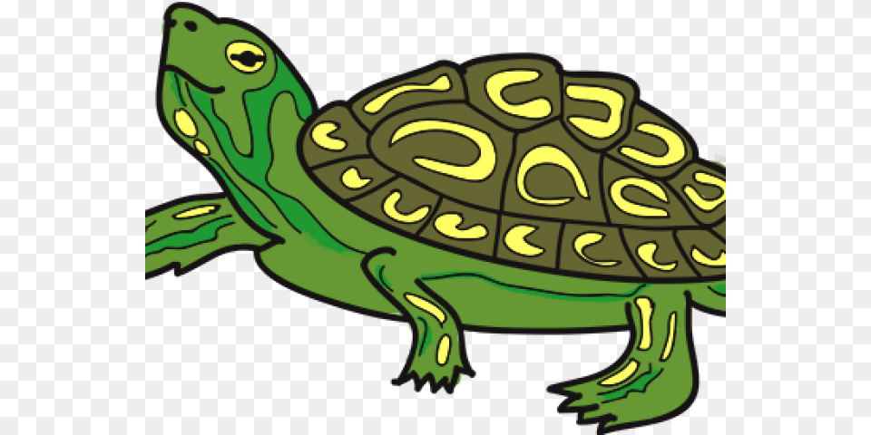 Tortoise Clipart Terrapin Cartoon, Animal, Reptile, Sea Life, Turtle Free Transparent Png