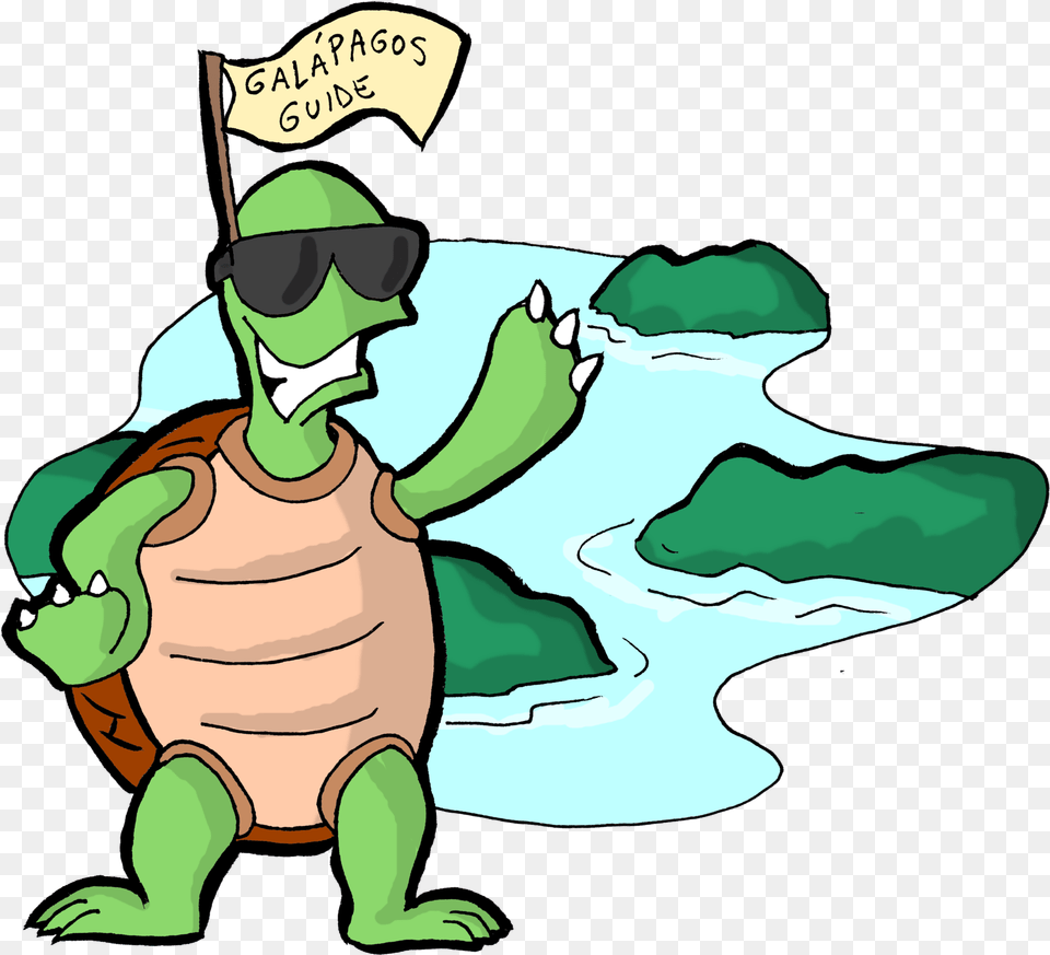 Tortoise Clipart Turtoise Cartoon, Baby, Person, Outdoors, Water Free Transparent Png