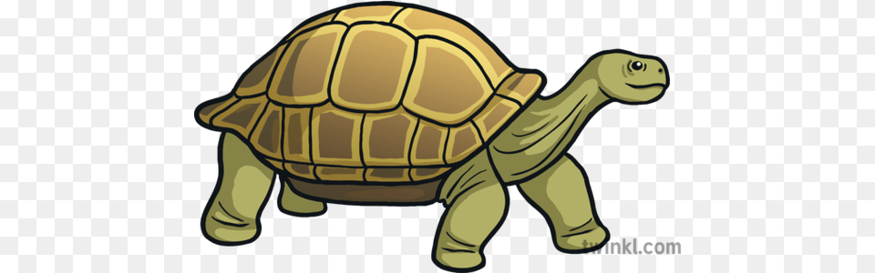 Tortoise Emoji Animals Nature Science Animal Figure, Reptile, Sea Life, Turtle Free Transparent Png