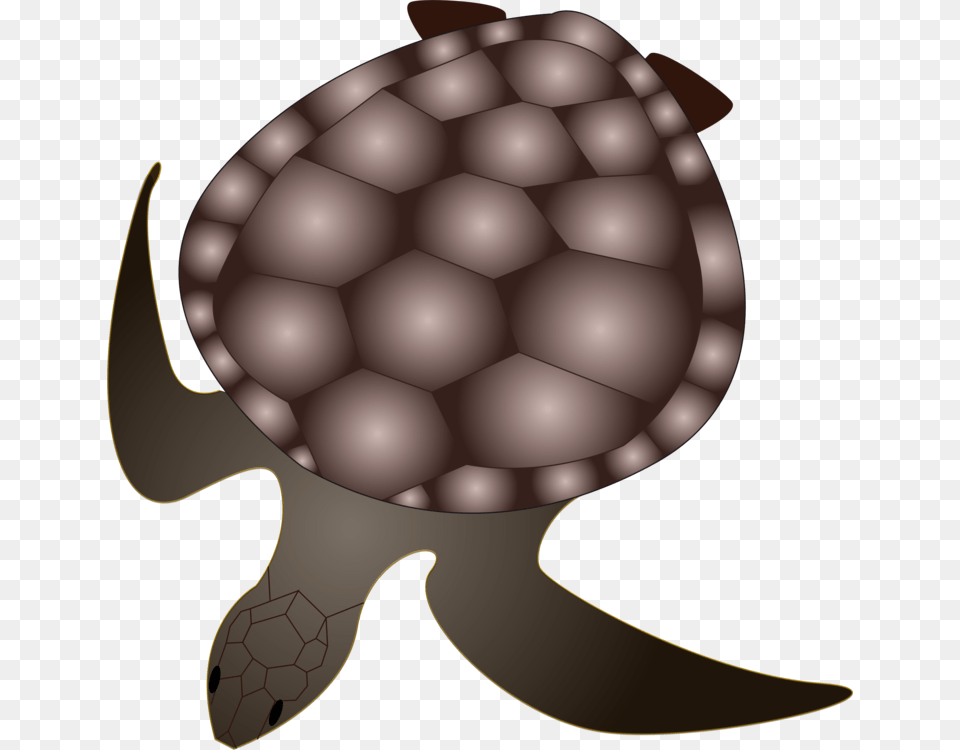 Tortoise Green Sea Turtle Reptile, Animal, Sea Life, Sea Turtle, Chandelier Png Image