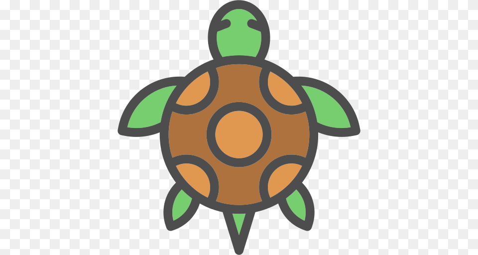 Tortoise Icon, Animal, Reptile, Sea Life, Turtle Free Png