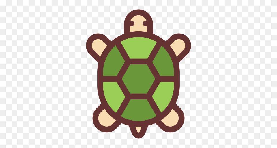 Tortoise Multicolor Lovely Icon With And Vector Format, Ammunition, Grenade, Weapon, Animal Free Png