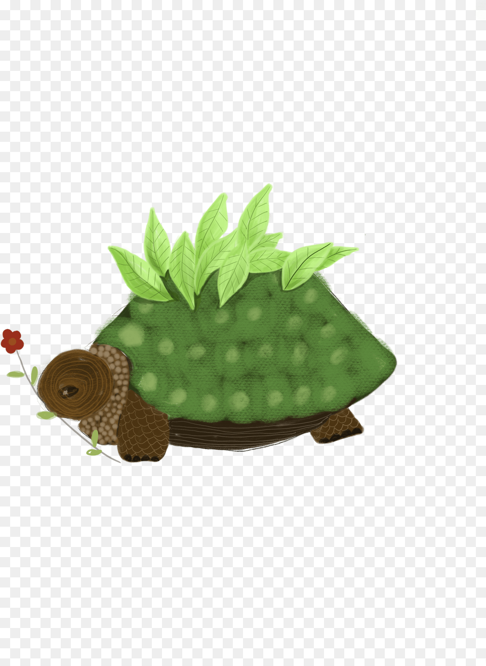 Tortoise Original Ordinary Tortoise, Green, Leaf, Plant Free Png Download