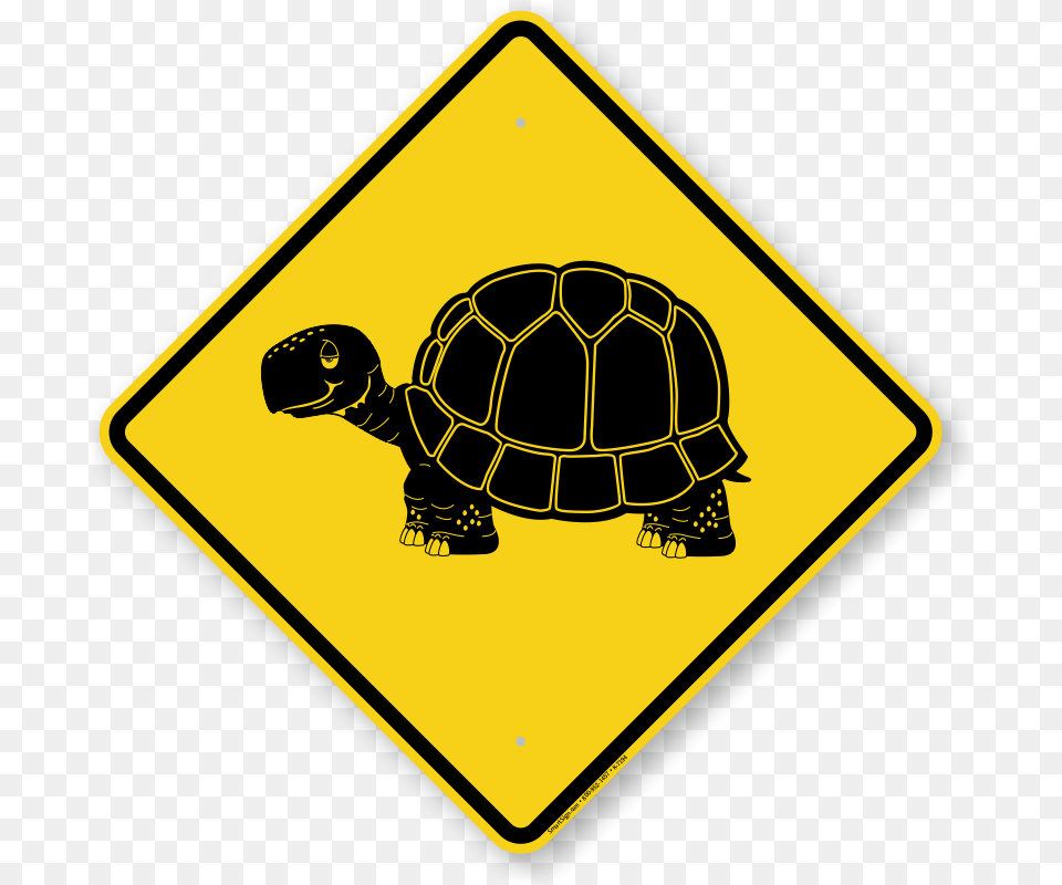 Tortoise Symbol Sign, Animal, Reptile, Sea Life, Turtle Png