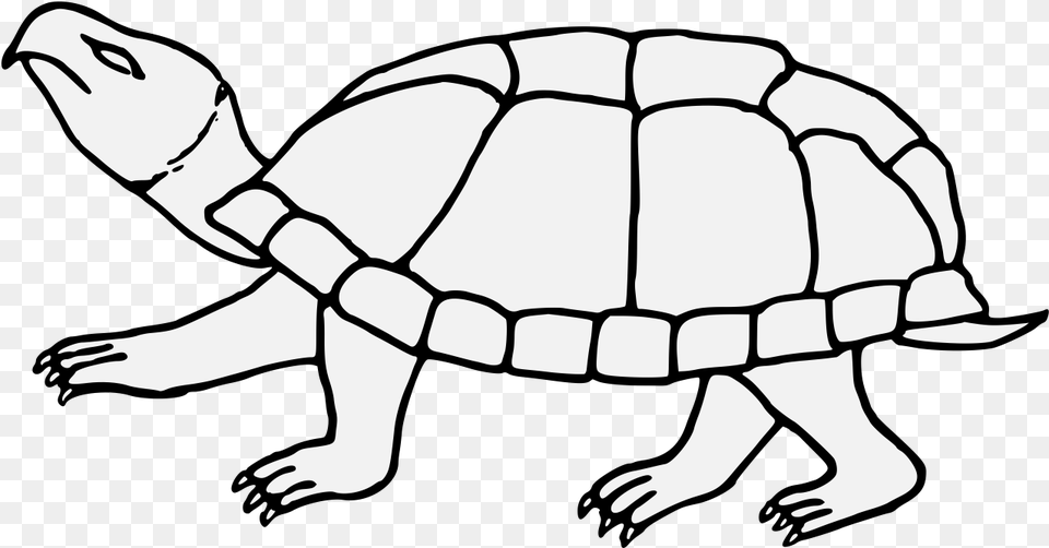 Tortoise Traceable Heraldic Art Line Art, Animal, Reptile, Sea Life, Turtle Png